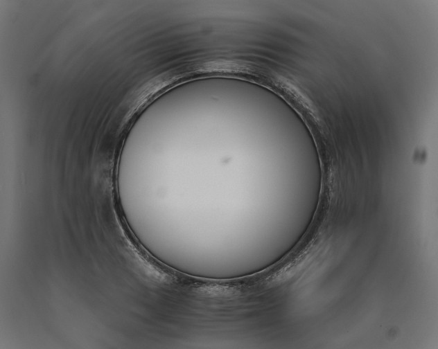 X0000090741033200708031541