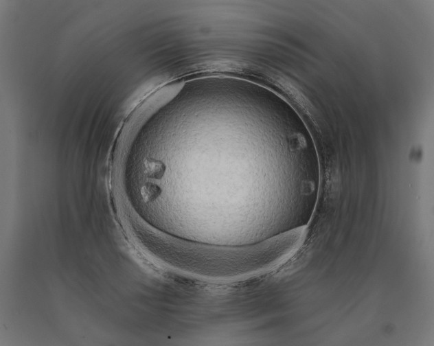 X0000090741034200708031541