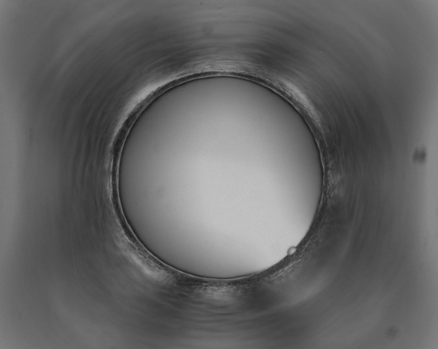 X0000090741035200708031541