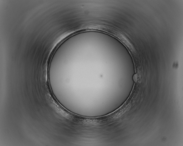 X0000090741036200708031541