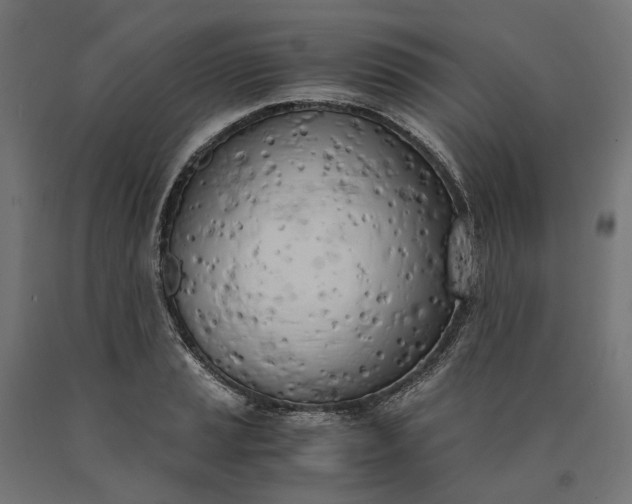 X0000090741037200708031541