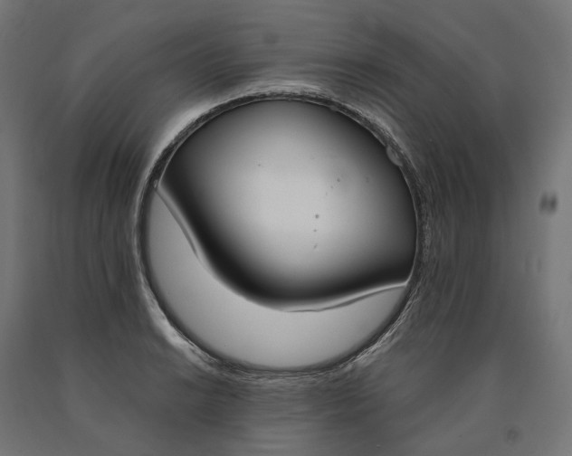 X0000090741038200708031541