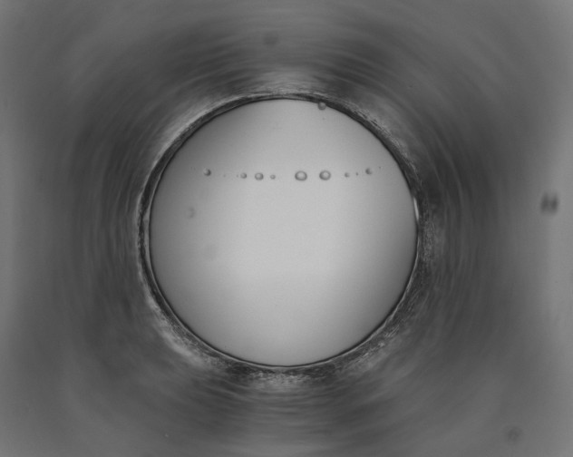 X0000090741039200708031541