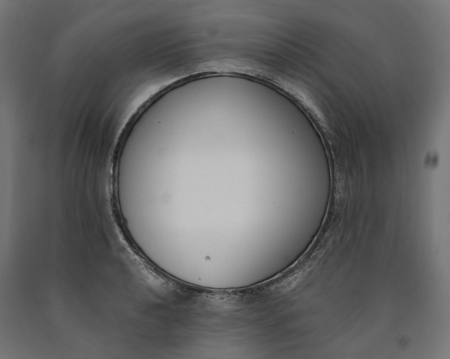 X0000090741040200708031541