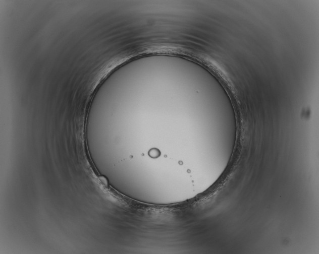 X0000090741041200708031541