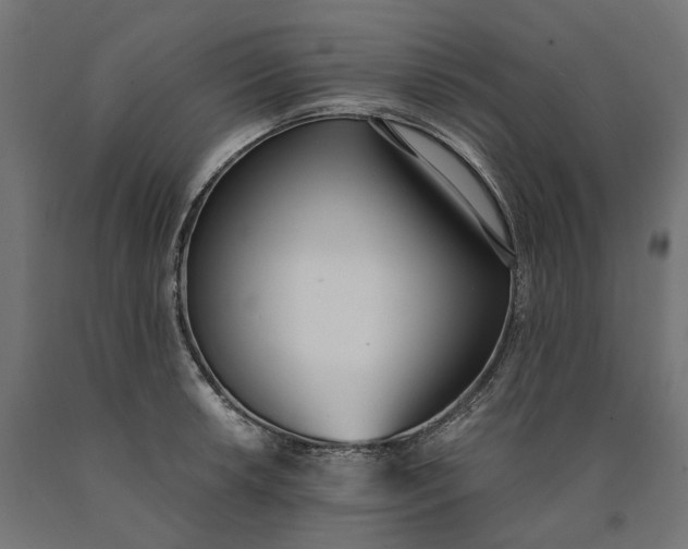 X0000090741042200708031541