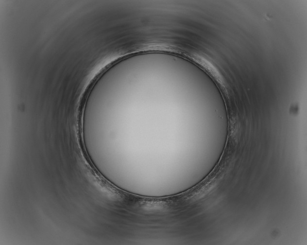 X0000090741043200708031541