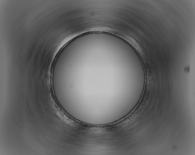 X0000090741044200708031541