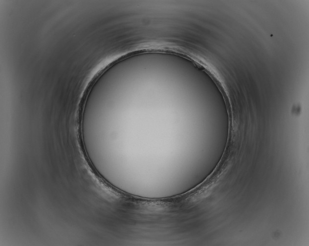 X0000090741045200708031541