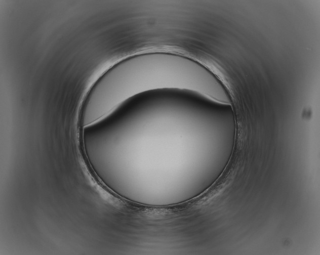 X0000090741046200708031541