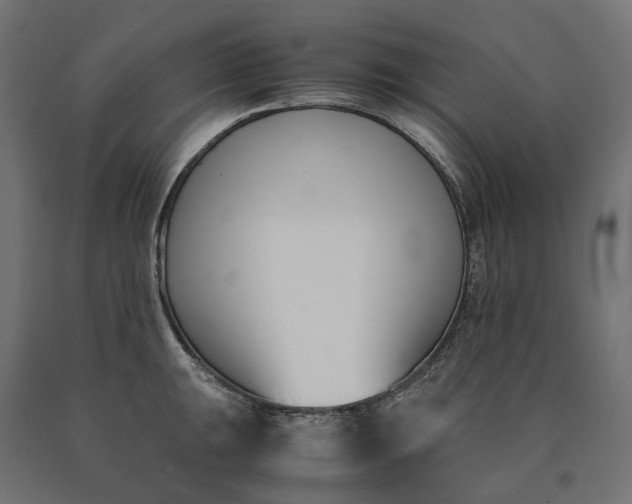 X0000090741047200708031541