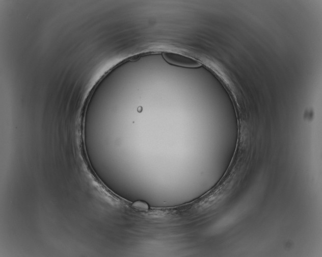 X0000090741048200708031541