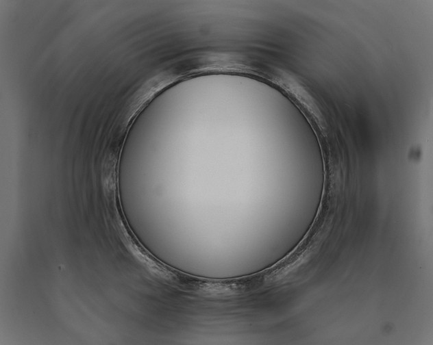 X0000090741049200708031541