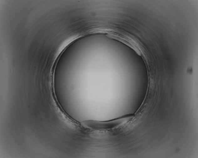 X0000090741050200708031541