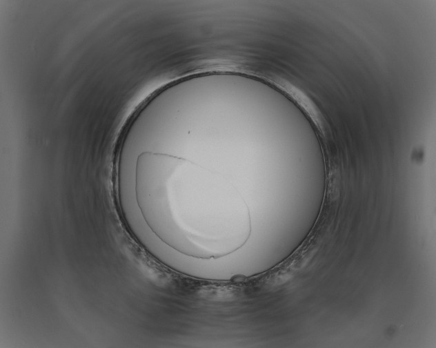 X0000090741051200708031541