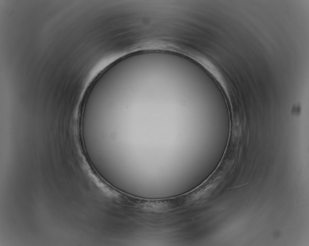 X0000090741053200708031541