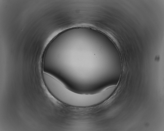 X0000090741054200708031541