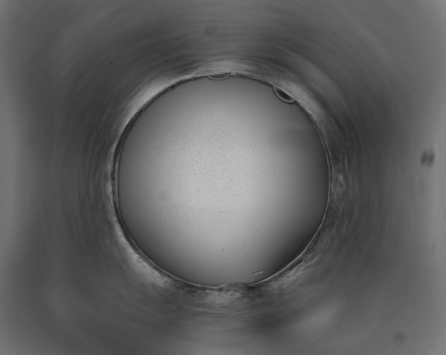 X0000090741055200708031541