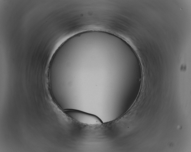 X0000090741056200708031541