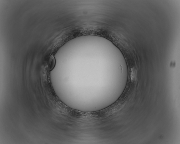 X0000090741059200708031541