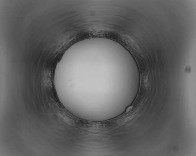 X0000090741060200708031541