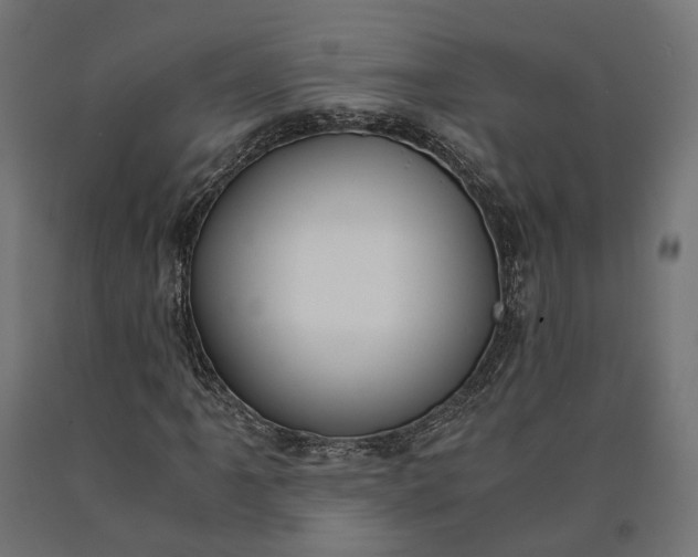 X0000090741061200708031541