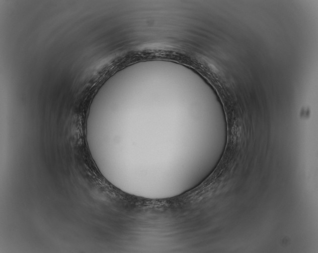 X0000090741062200708031541