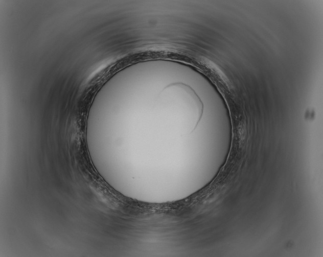 X0000090741064200708031541