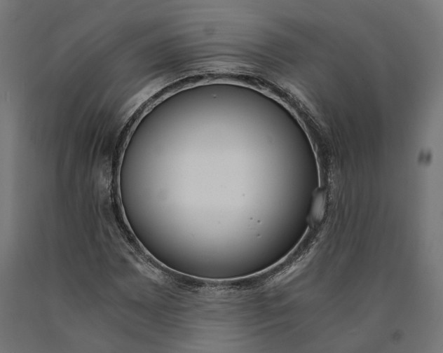 X0000090741065200708031541