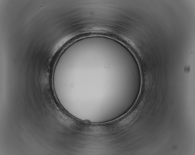 X0000090741066200708031541