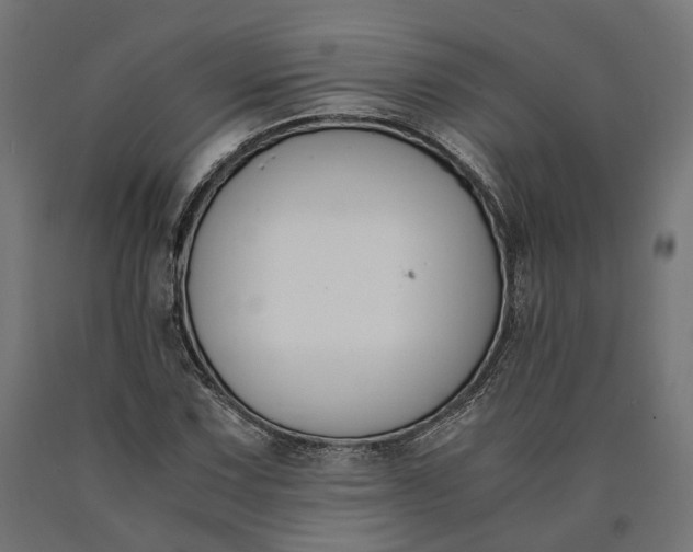 X0000090741067200708031541