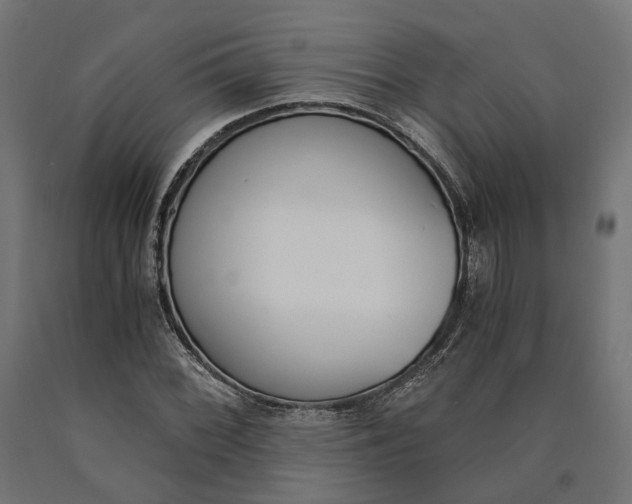 X0000090741068200708031541