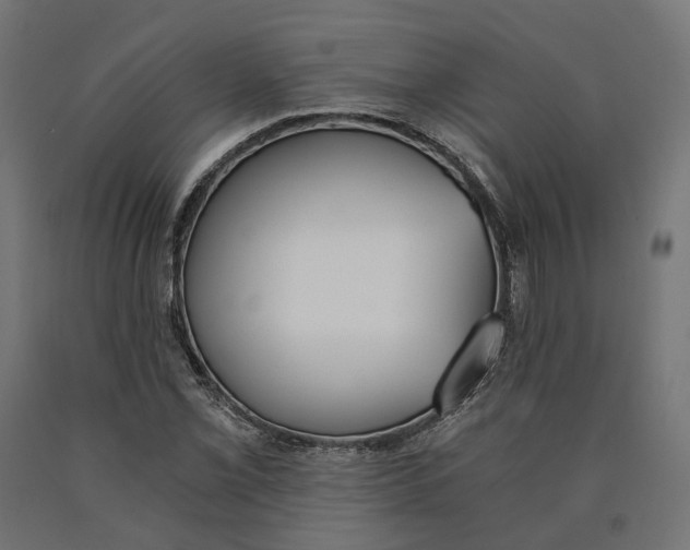 X0000090741069200708031541