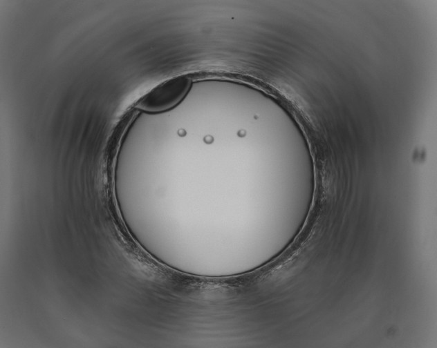 X0000090741070200708031541