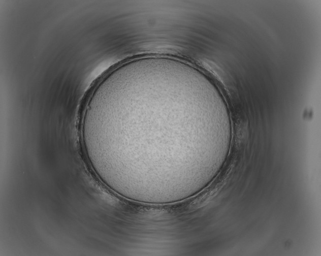 X0000090741071200708031541