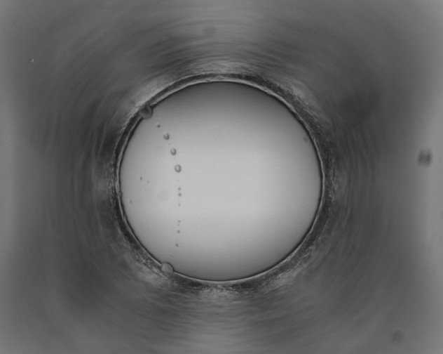 X0000090741073200708031541