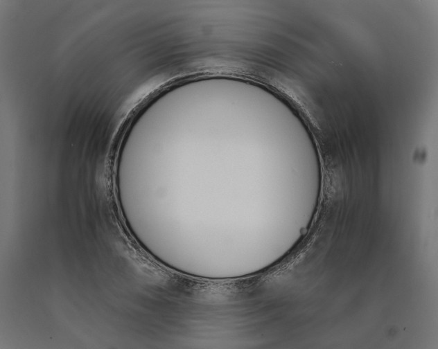 X0000090741074200708031541