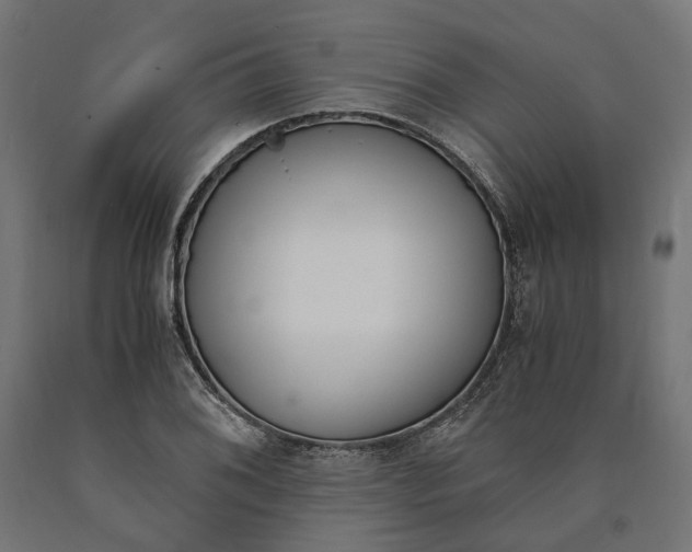 X0000090741076200708031541