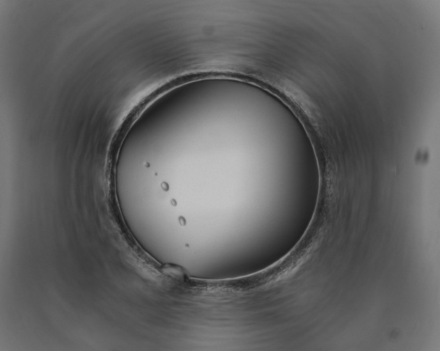 X0000090741077200708031541