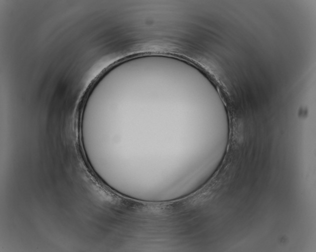 X0000090741078200708031541