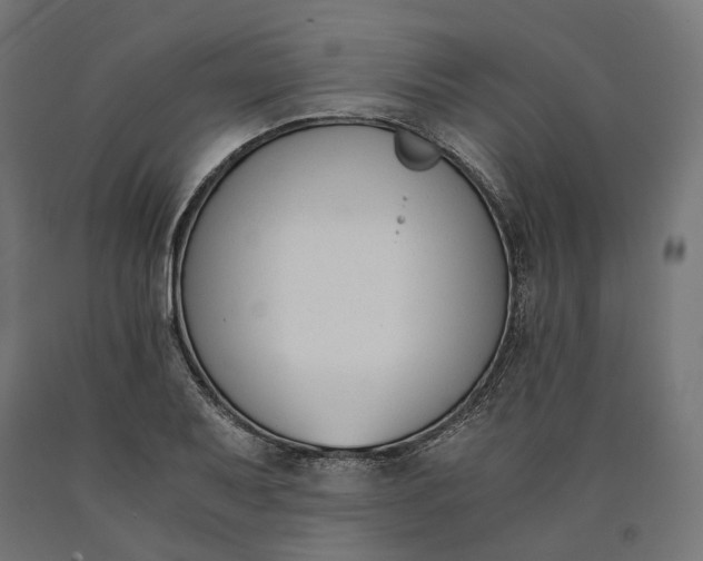 X0000090741079200708031541