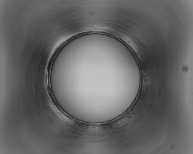 X0000090741080200708031540