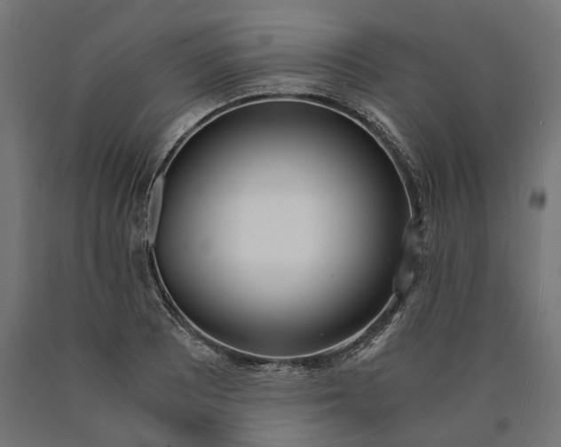 X0000090741081200708031540