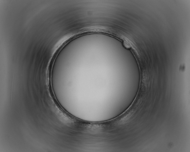 X0000090741082200708031540