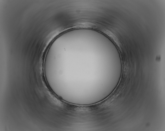 X0000090741083200708031540