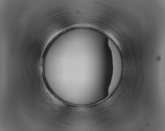 X0000090741084200708031540