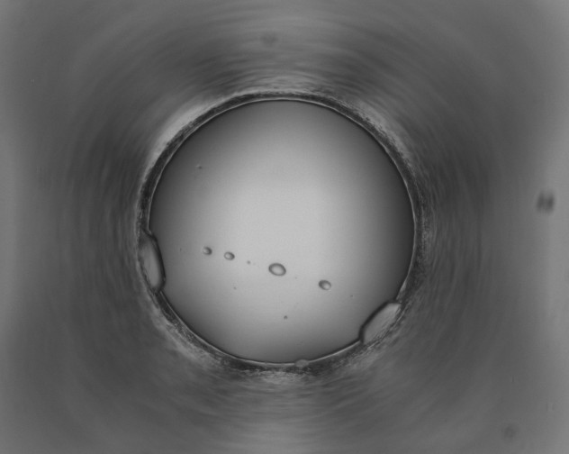 X0000090741085200708031540