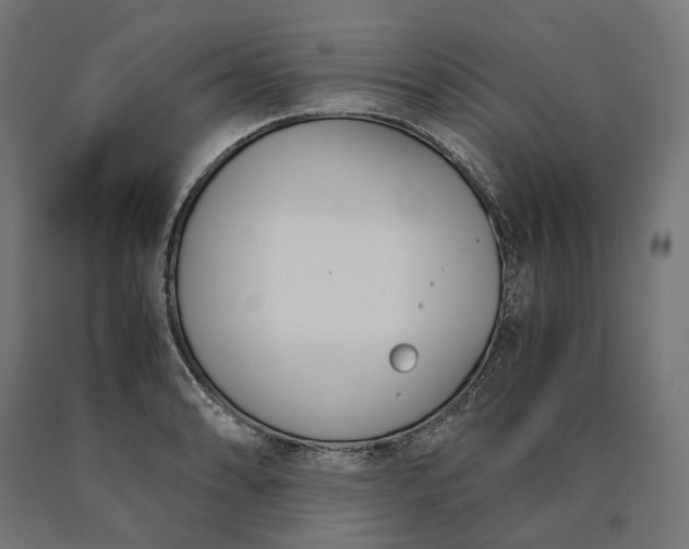 X0000090741086200708031540