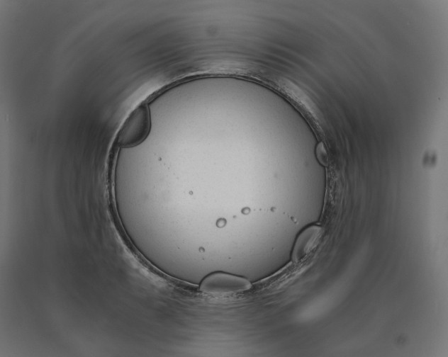 X0000090741087200708031540