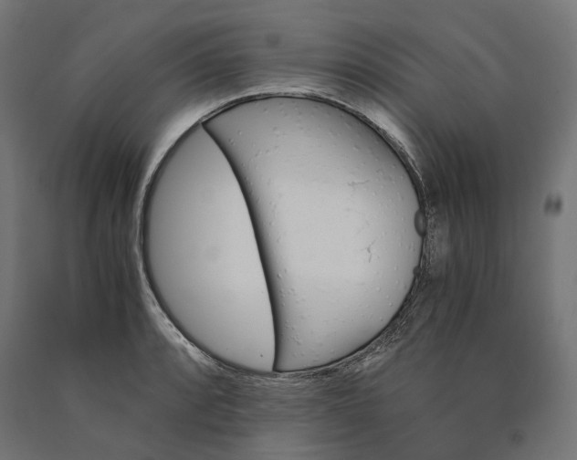 X0000090741088200708031540